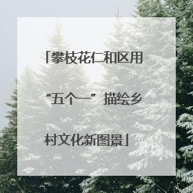 攀枝花仁和区用“五个一”描绘乡村文化新图景